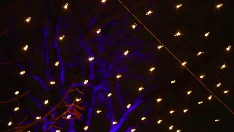 Lights Norrköping Stock Footage 147713742