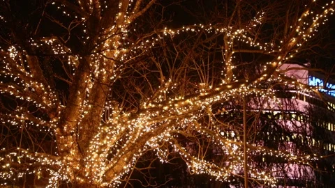 Lights Norrköping Stock Footage 147713763