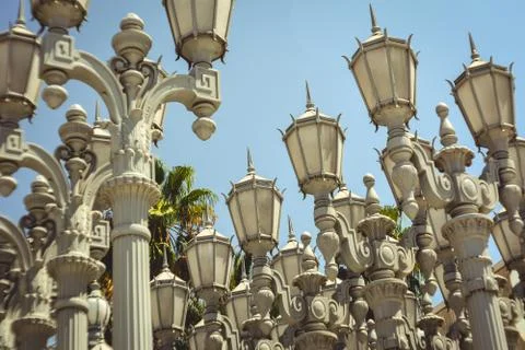 Lights &amp; Palmtrees 写真素材