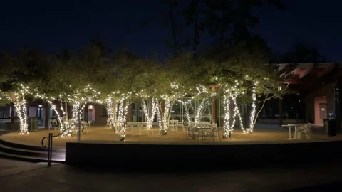 Lights in a park, 4K 스톡 동영상 154575709