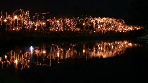 Lights at a Park Stock Footage 10164358