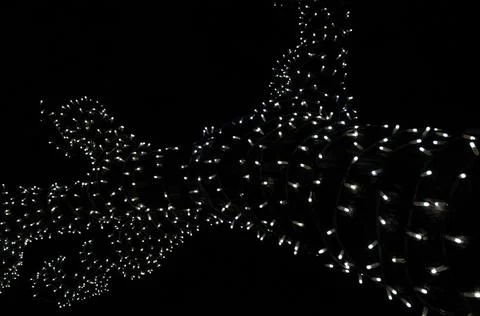 The lights that shine on the tree Stock Photos