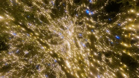 Lights shining around a tree for Christmas Vídeo Stock 227487521