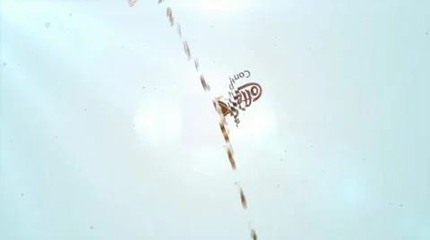 Lights Simple  Corporate Logo Rotate Animation Stock After Effects
