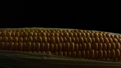 The lights streaked through the corn black background in the dark room. Healthy  Stock Footage 145140023