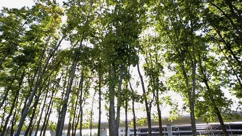 The lights of a sun Stock Footage 70147409