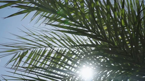 The lights of a sun Stock-Footage 86332989