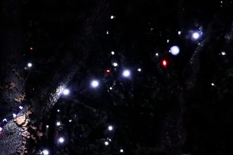 Lights on a tree Stock Photos