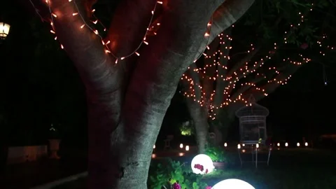 Lights in the trees Stock Footage 113852268