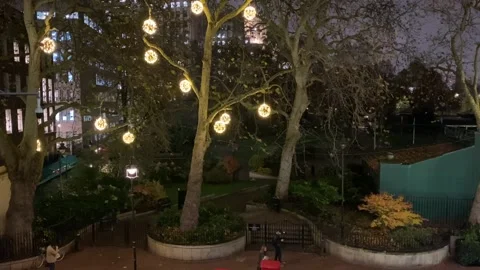 Lights in Trees 스톡 동영상 227977298