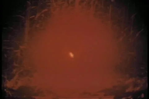 Lights turning off Stock Footage 11348670