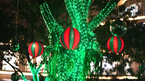 Lights Under The Tree With A Christmas Feel Stock Footage 244885351
