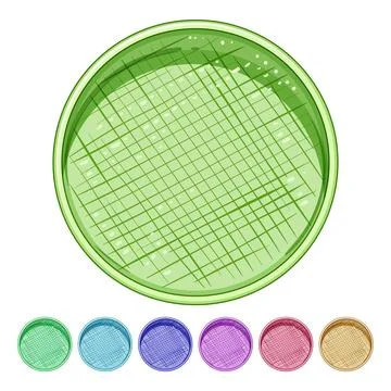 Lightweight bamboo plate cartoon vector graphic Stock Illustration