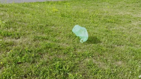 Lightweight green plastic bag gets blown across a green grass lawn by the w.. Stock Footage 345168839