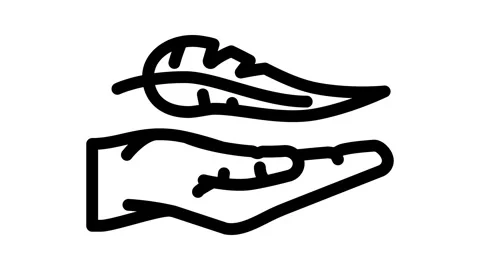 Lightweight product label caution line icon animation Vídeo Stock 326755270