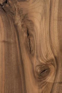 Ligneous plank with rough pattern Foto stock