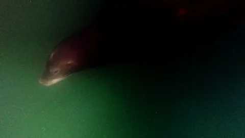 Ligthy effect Abstract background - Keyable* Stock Footage 82168892