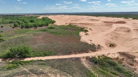 Liitle Sahara4 Video stock 275375427