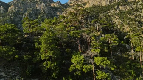 Likiya  Stock Footage 226946179