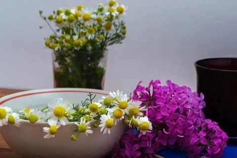 Lilac and chamomile Stock Photos