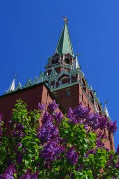 Lilac and Trinity Tower of Kremlin in Moscow, Russia Stock Photos