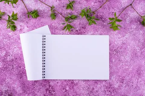 Lilac background with branch of tree. Spring concept Stock Photos