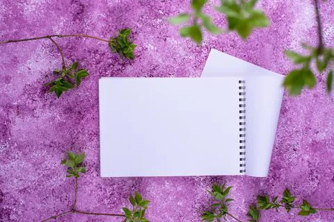 Lilac background with branch of tree. Spring concept Stock Photos