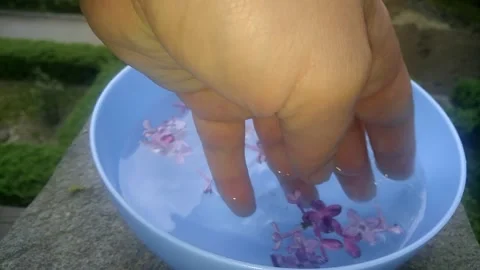 Lilac beautiful. Stock Footage 241444566