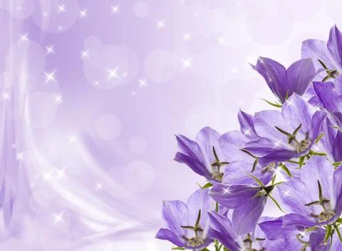 Lilac bells Stock Photos