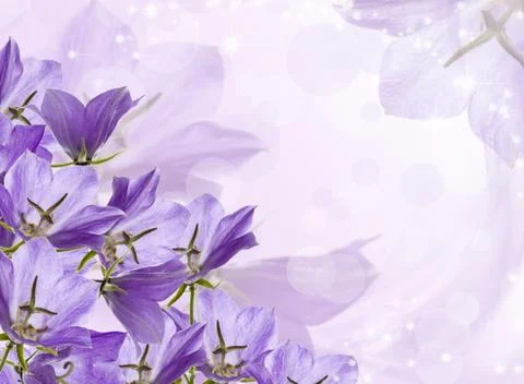 Lilac bells Stock Photos