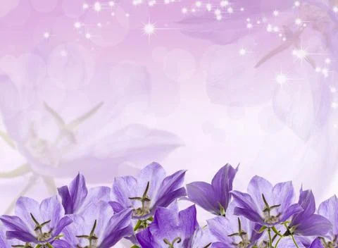 Lilac bells Stock Photos