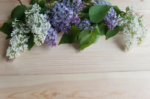 Lilac branch on the table Stock Photos