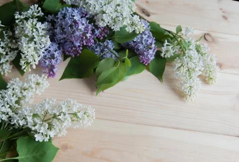 Lilac branch on the table Stock Photos