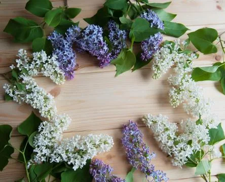 Lilac branch on the table Stock Photos