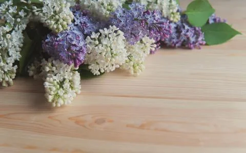Lilac branch on the table Stock Photos