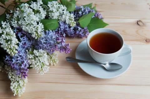 Lilac branch on the table Stock Photos