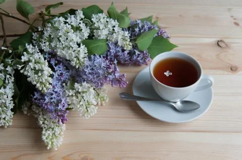 Lilac branch on the table Stock Photos