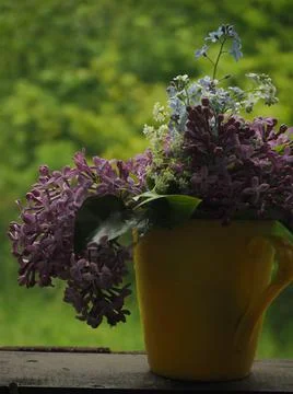 Lilac branches are stranded in a vase on the window in retro style Stock Photos