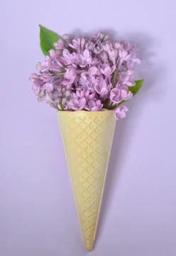 Lilac in cone Free Stock Photos