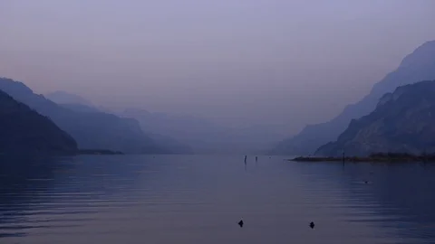 Lilac evening at the lake. Stock Footage 80555148