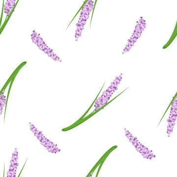 Lilac Floral pattern Stock Illustration