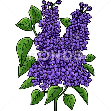 Lilac Flower Cartoon Colored Clipart Illustration: Royalty Free #198925390