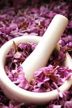 Lilac Flower Petal Processing Stock Photos