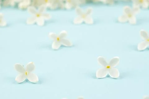 Lilac Flowers Background Stock Photos