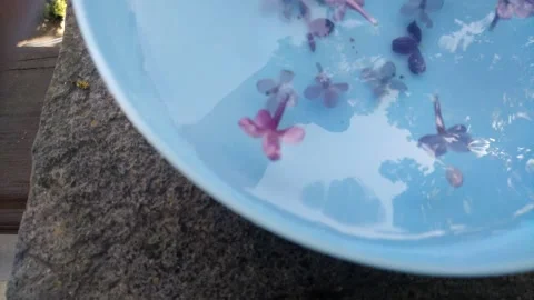 Lilac flowers float in the water. Stock-Footage 241562899