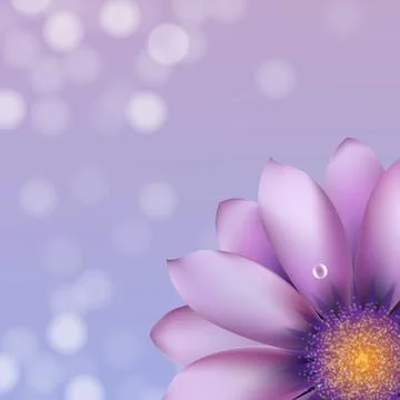 Lilac Gerber With Bokeh Stock Illustration