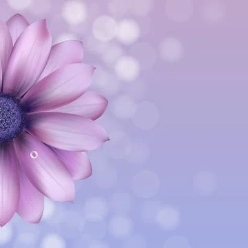 Lilac Gerber With Water Drop Stock Illustration