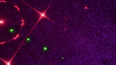 On a lilac gradient background, moving multi-colored figures Stock Footage 244738742