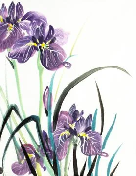 Lilac iris flowers Stock Illustration