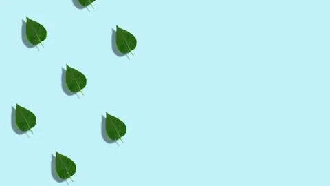 Lilac leaves pattern, dynamic and bright. Made of photos. Abstract Spring or  Stock Photos